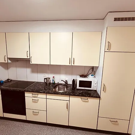 3-Room Apartment Up To 5 Guests Family Business Free Wifi Netflix Sky Dazn Disney Plus 1000 International Tv Channels * Wynau