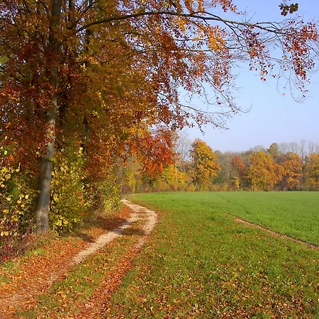 3-Room Apartment Up To 5 Guests Family Business Free Wifi Netflix Sky Dazn Disney Plus 1000 International Tv Channels * Wynau