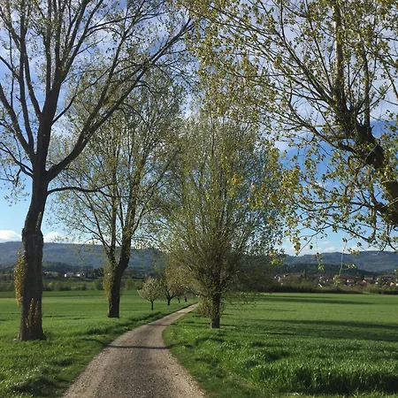 3-Room Apartment Up To 5 Guests Family Business Free Wifi Netflix Sky Dazn Disney Plus 1000 International Tv Channels