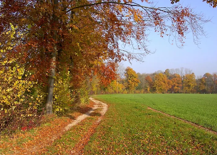 3-room Up To 5 Guests Family Business Free Wifi Netflix Sky Dazn 1000 International Tv Channels * Wynau