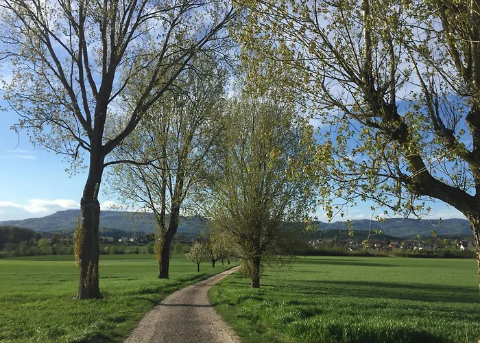 3-room Up To 5 Guests Family Business Free Wifi Netflix Sky Dazn 1000 International Tv Channels