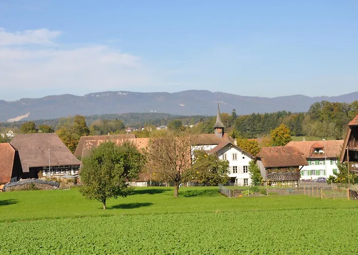 3-room Up To 5 Guests Family Business Free Wifi Netflix Sky Dazn 1000 International Tv Channels דירה Wynau